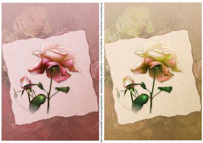 Soft Vintage Rose Toppers - Pink & Yellow