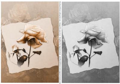 Soft Vintage Rose Toppers - Sepia & Monochrome