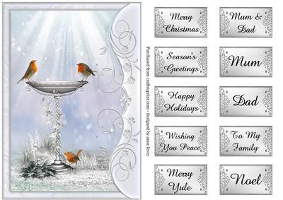 Christmas Robins at the Bird Bath
