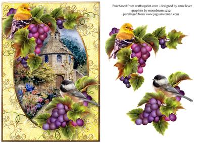 Birds & Grapes at the Dovecote