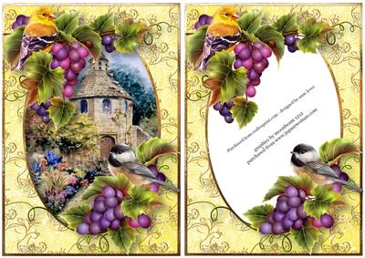 Birds & Grapes at the Dovecote + Extra Frame