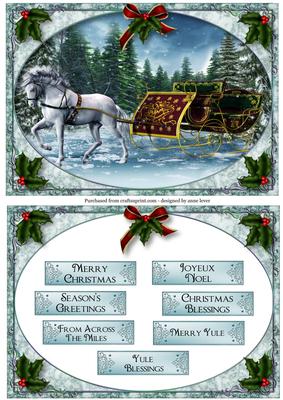 Gorgeous White Horse & Christmas Sleigh