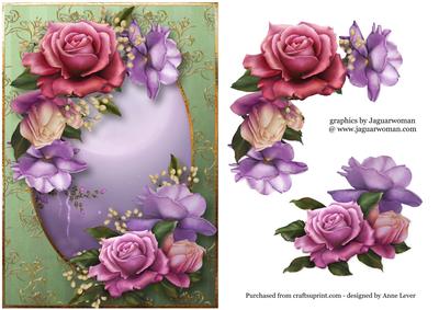 Beautiful Belle Roses