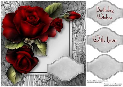 Drama Red Roses Lacey Square
