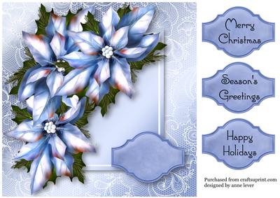 Ice Blue Poinsettia Lacey Square