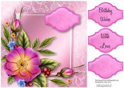 Pink Wild Rose Lacey Square