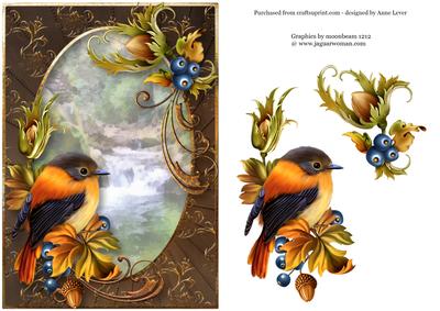 Beautiful Rust Bird at the Waterfall