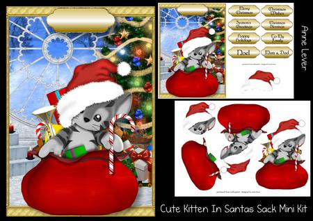 Cute Kitten in Santa's Sack Mini Kit