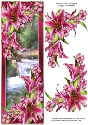 Large Dl Stargazer Lilies at the Waterfall
