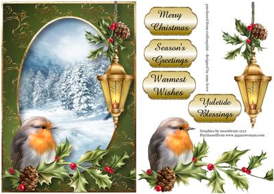 Robin, Holly & Lantern Snowy Scene