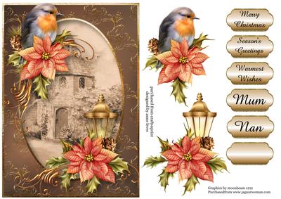 Christmas Robin at the Sepia Dovecote