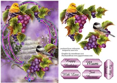 Fabulous Birds, Grapes & Purple Frame