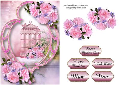 Beautiful Pink Roses, Birdcage & Pink Frame