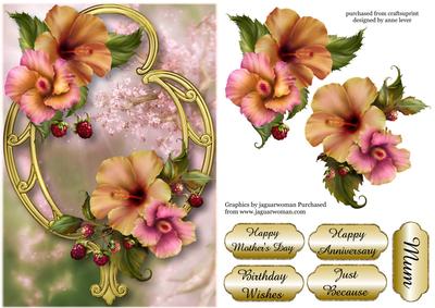 Peach Hibiscus & Golden Frame