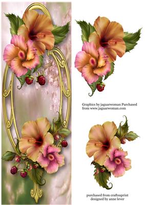 Large Dl Peach Hibiscus & Golden Frame