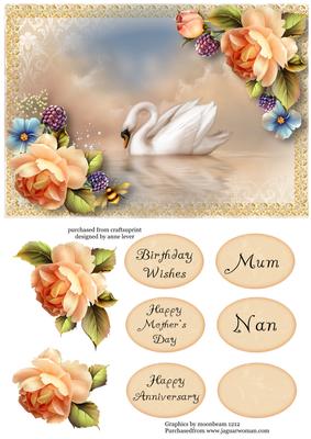 Beautiful Swan & Peach Roses
