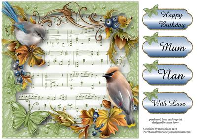 Birds, Berries & Butterflies Soft Sheet Music