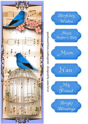 Large Dl Vintage Birdcage - Bluebird