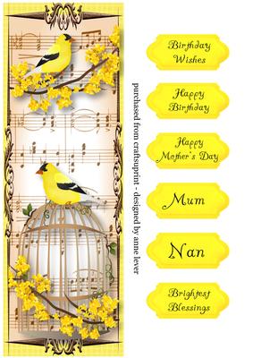 Large Dl Vintage Birdcage - Yellow Bird