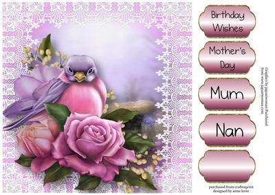 Beautiful Belle Roses Bird