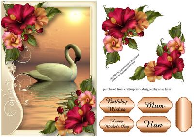 Serene Swan with Beautiful Hibiscus Flowers