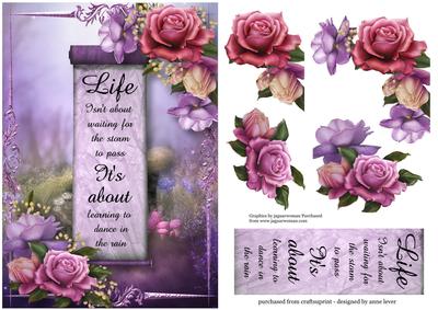 Beautiful Belle Roses - Life Isn't About - 