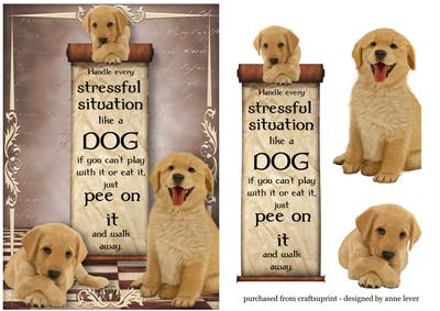 Handle Every Stressfull Situation Like a Dog - 