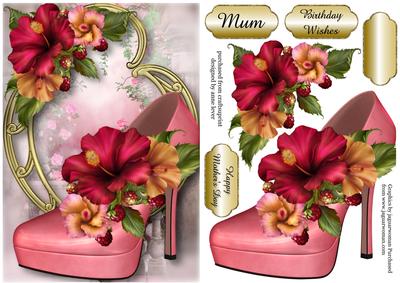 Stunning Shoes - the London Collection - Hibiscus Flowers
