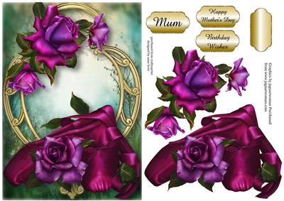 Stunning Shoes - the Ballet Collection - Twilight Roses