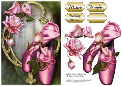 Stunning Shoes - the Ballet Collection - Cameo Roses