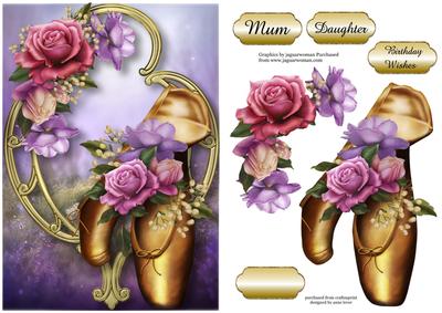 Stunning Shoes - the Ballet Collection - Belle Roses