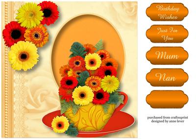Gorgeous Gerberas in a Teacup