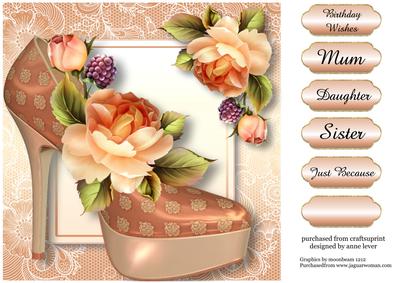 Stunning Shoes Lacey Square - the Milan - Peach Roses