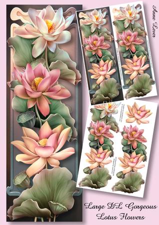 Large Dl Gorgeous Lotus Flowers Mini Kit