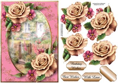 Champagne & Pink Roses at the Rose Cottage