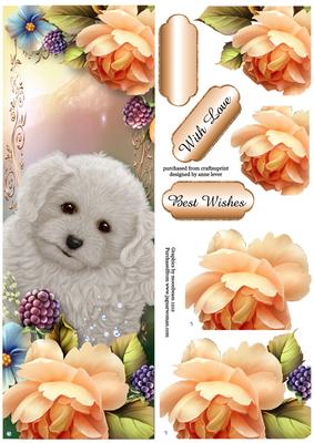 Large Dl Adorable Puppy & Peach Roses
