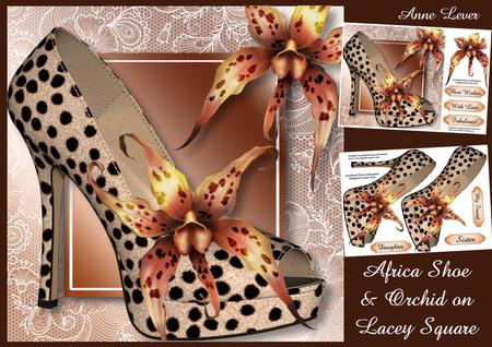 Africa Shoe & Orchid on Lacey Square