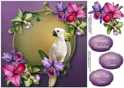 Orchids Tropique
