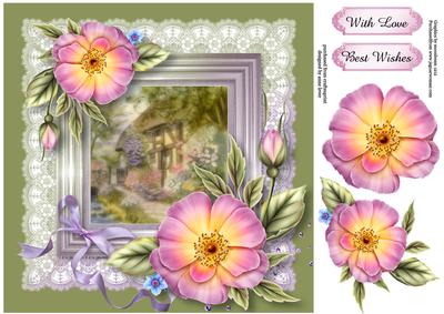 Country Cottage with Lace & Wild Roses