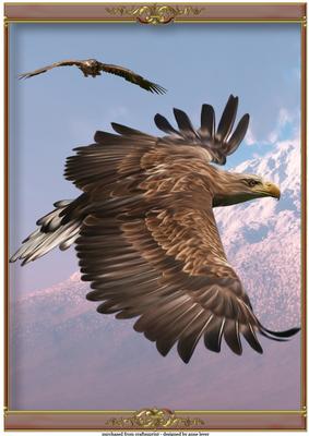 To Glide and to Soar - A4
