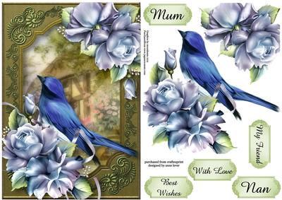Flycatcher & Blue Roses at the Country Cottage
