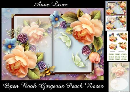 Open Book Gorgeous Peach Roses