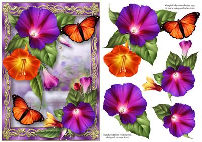 Fabulous Morning Glory & Orange Butterfly