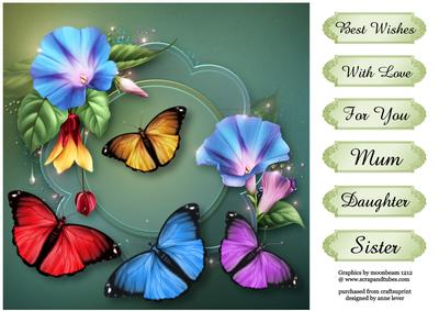 Morning Glory & Beautiful Butterflies