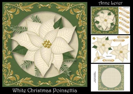 White Christmas Poinsettia Mini Kit