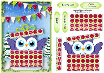 Christmas Owl - Surprise!
