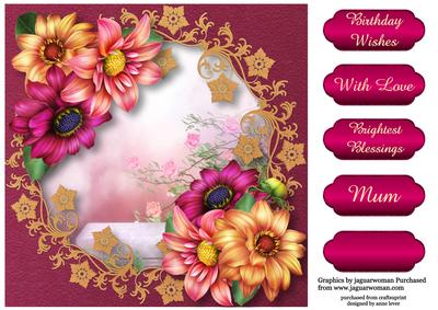 Beautiful Dahlias