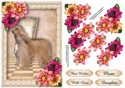 Afghan Hound & Beautiful Dahlias