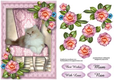 Cute Cat & Camellias