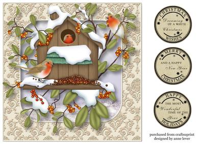 Christmas Robins Birdhouse